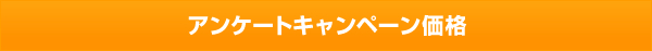 アンケートキャンペーン価格